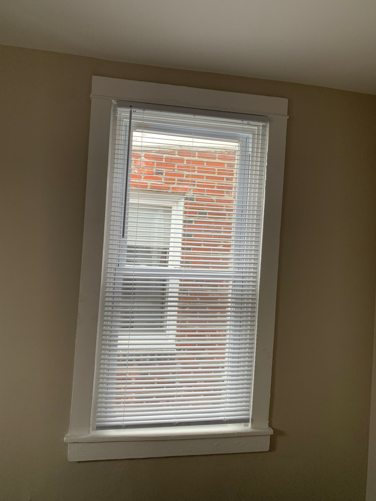 Curtains/Blinds