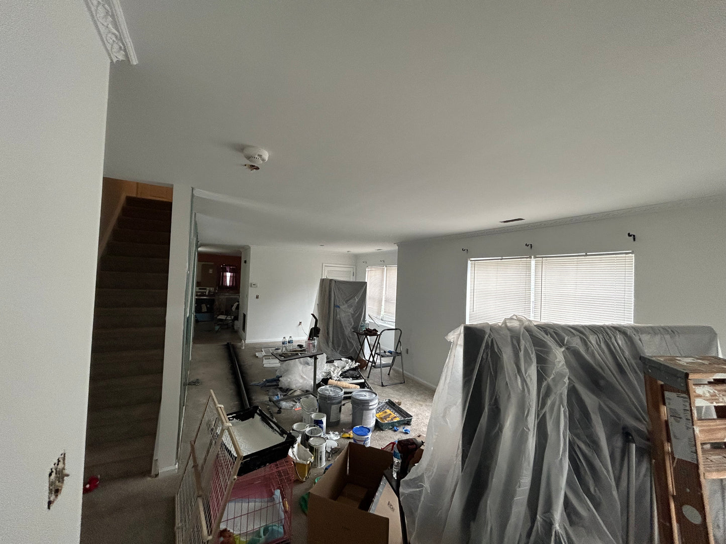 Painting Services