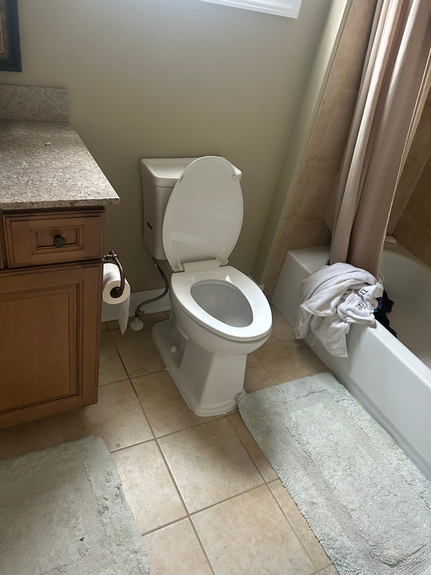 Toilet Installation