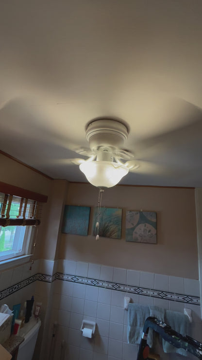Ceiling Fan Installation