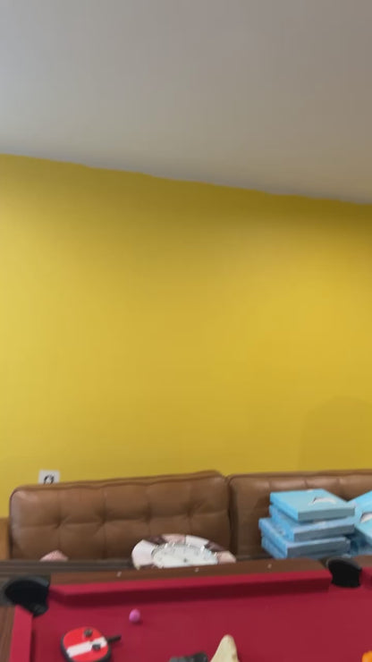 Painting Services